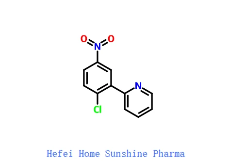 2-(2-chloro-5-nitrofenil)piridina CAS 879088-40-1