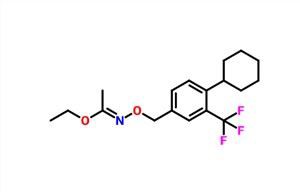 Ethyl (E)-N-((4-cyclohexyl-3-(trifluoromethyl)benzyl)oxy)acetimidate CAS 1418144-65-6