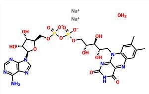 Flavin Adenine Dinucleotide Disodium Salt Hydrate CAS 84366-81-4