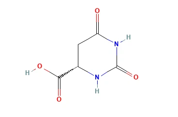 Aċidu L-4,5-dihydroorotic CAS 5988-19-2